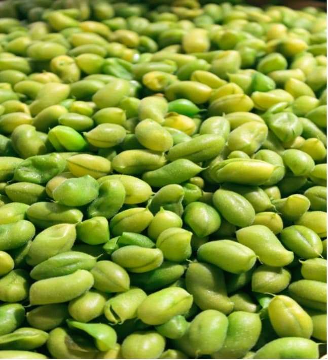 Recipes with Nadia Coetzee - Nutritionist - Root Your Health Perth Edamame beans